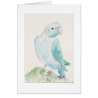 Indisk ringneckparakiter hälsningskort
