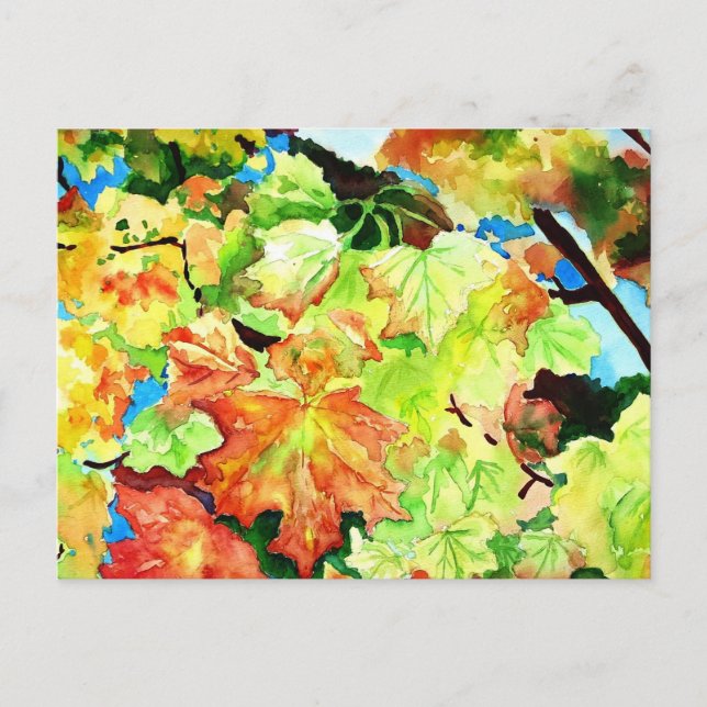 Indisk sommar vykort (Framsida)