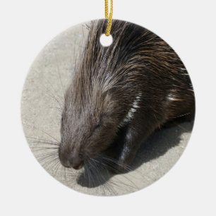 Indisk Tofsad Piggsvin Julgransprydnad Keramik