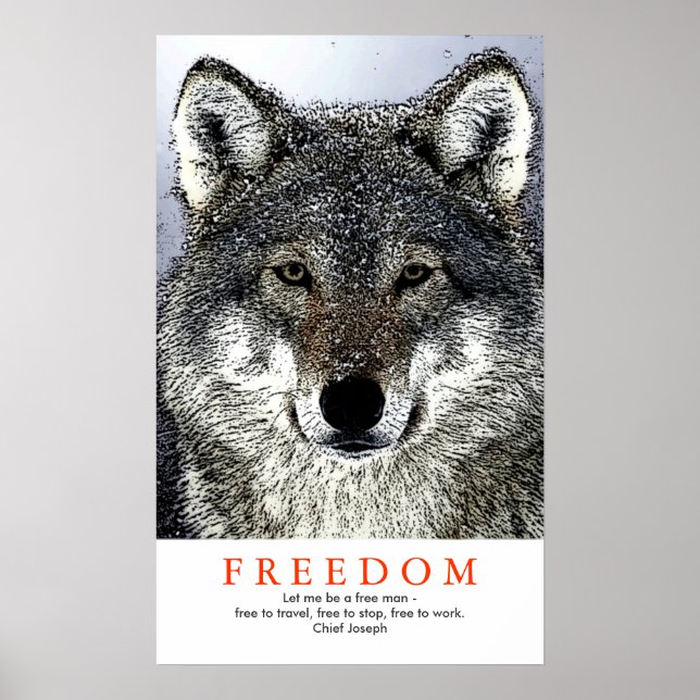 Indisk Varg för unik motivation Poster (Framsidan)