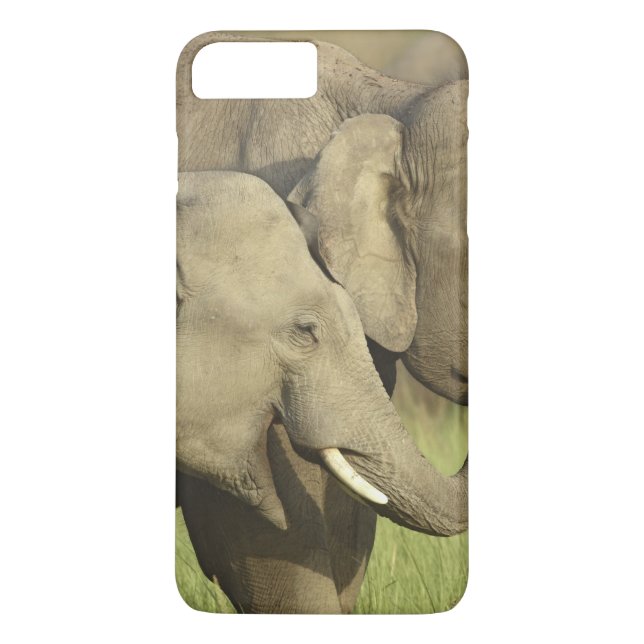 Indiska asiatiska elefanter Case-Mate iPhone skal (Baksida)