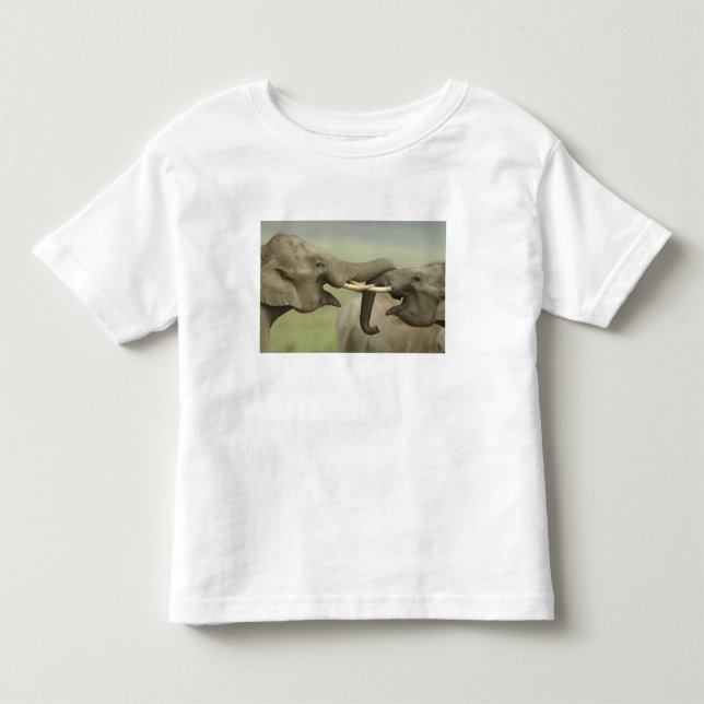 Indiska asiatiska elefanter leker strider t-shirt (Framsida)