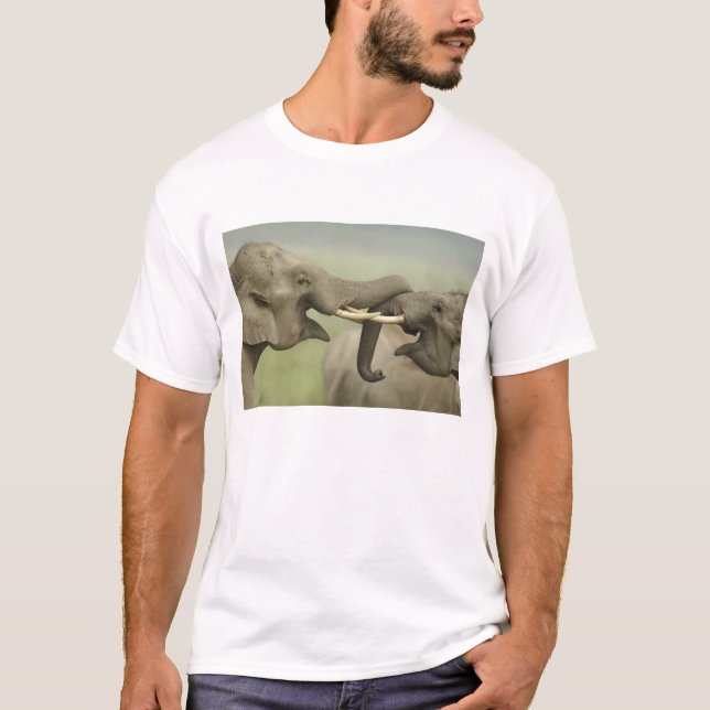 Indiska asiatiska elefanter leker strider t-shirt (Framsida)