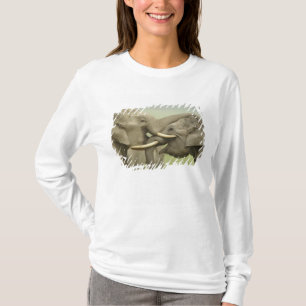 Indiska asiatiska elefanter leker strider tee