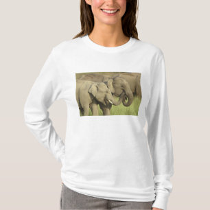 Indiska asiatiska elefanter t-shirt