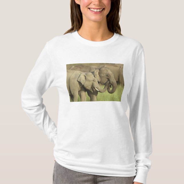 Indiska asiatiska elefanter t-shirt (Framsida)