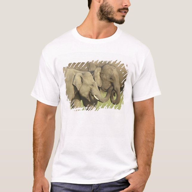 Indiska asiatiska elefanter t shirt (Framsida)