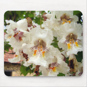 Indiska Bean Träd Flowers Musmatta