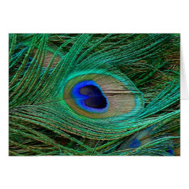 Indiska blå persikor Feather Hälsningskort