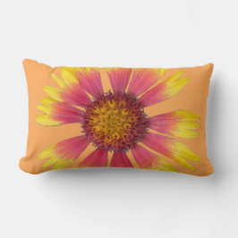 Indiska Blanket Dekorativ kudde