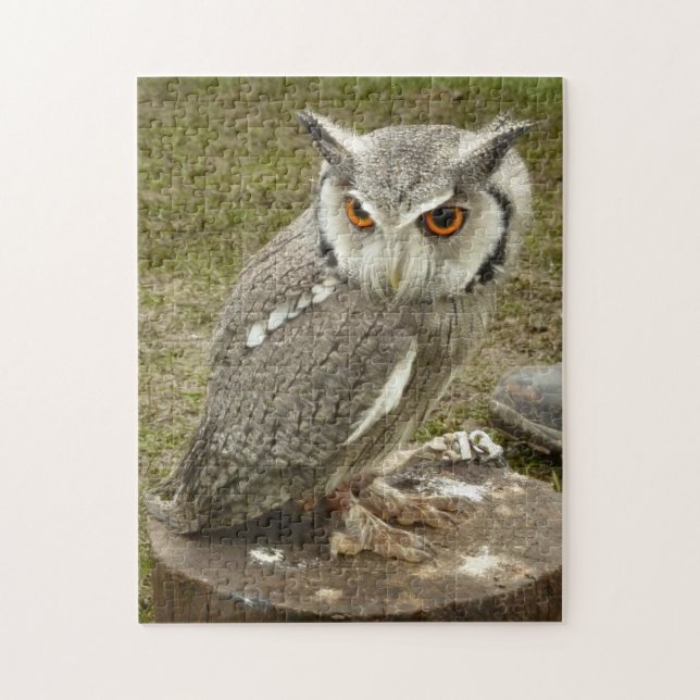 Indiska Eagle Uggla Pussel (Vertikal)