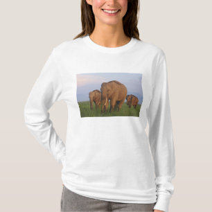Indiska elefanter i gräsmarken t shirt