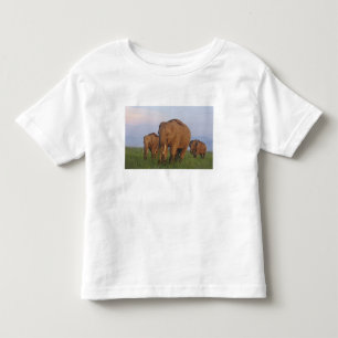 Indiska elefanter i gräsmarken t-shirt