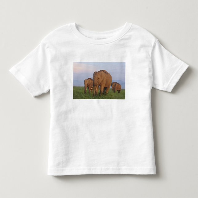 Indiska elefanter i gräsmarken t-shirt (Framsida)