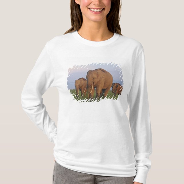 Indiska elefanter i gräsmarken tee shirt (Framsida)