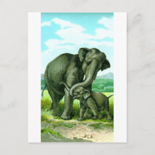 indiska Elephant Vykort