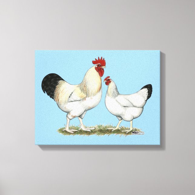 Indiska floden Chickens Canvastryck (Framsida)