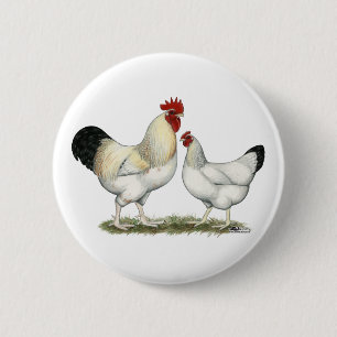 Indiska floden Chickens Knapp