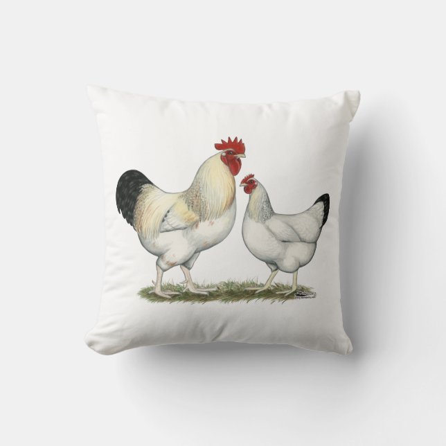 Indiska floden Chickens Kudde (Framsida)