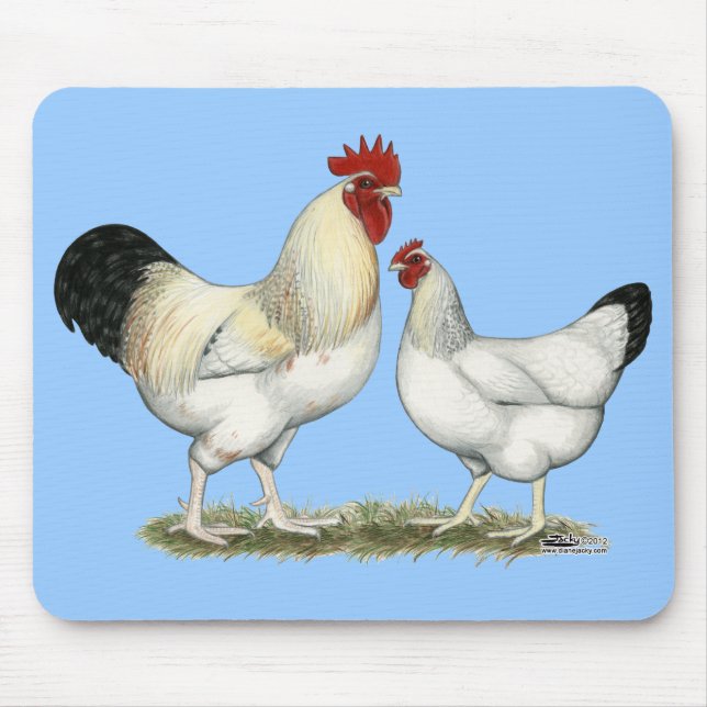 Indiska floden Chickens Musmatta (Framsidan)