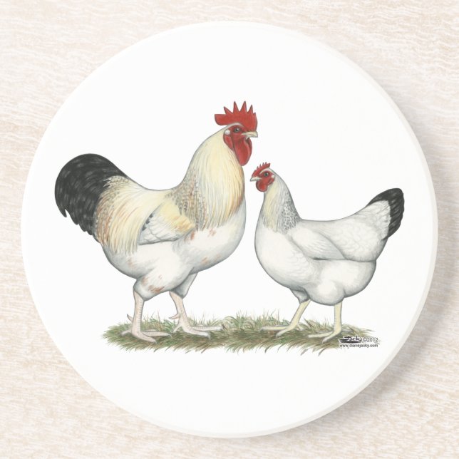 Indiska floden Chickens Underlägg Sandsten (Framsidan)