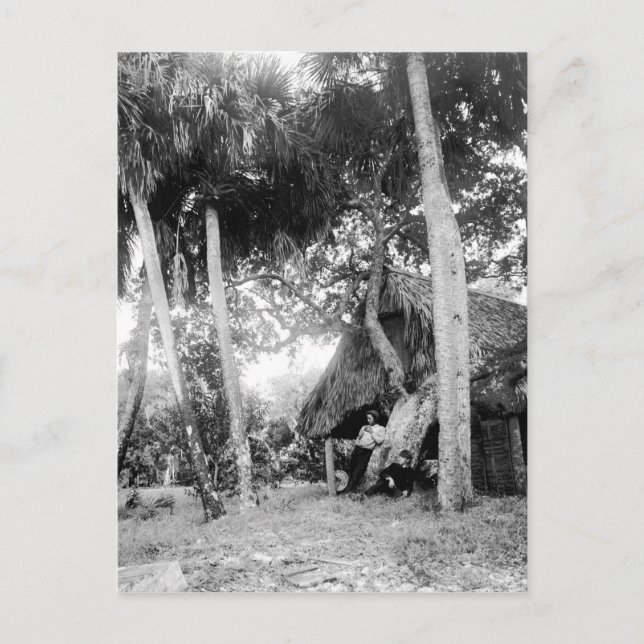 Indiska floden Florida Getaway: 1890-talet Vykort (Framsida)