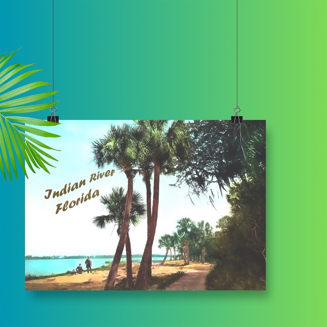 Indiska floden Florida Poster (Skapare uppladdad)