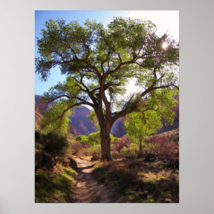 indiska Garden Poster