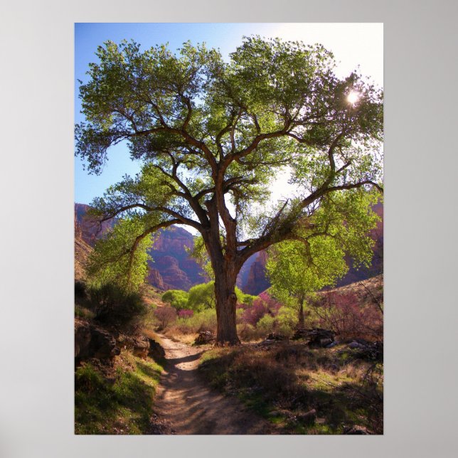 indiska Garden Poster (Framsidan)