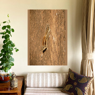 Indiska Handflatan-ekorren på en Träd-trunk Canvastryck