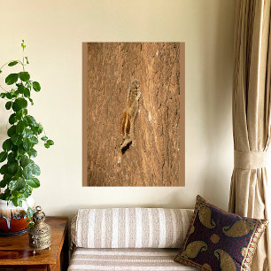 Indiska Handflatan-ekorren på en Träd-trunk Fototryck