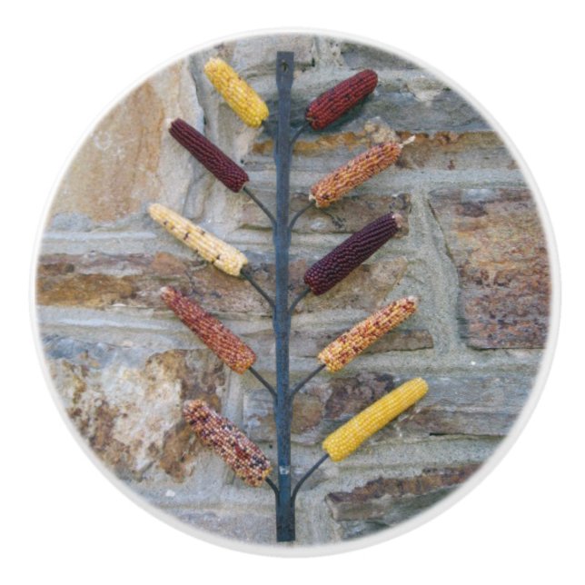 Indiska Maj Knopp (Framsidan)