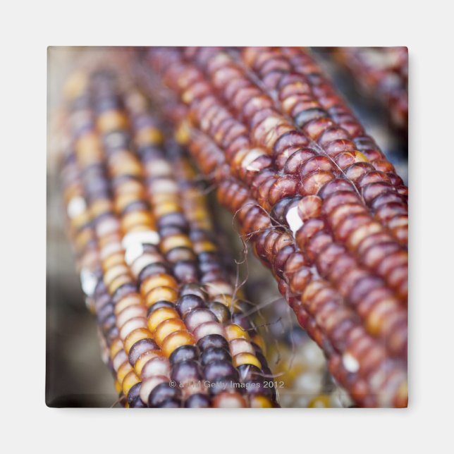 Indiska Maj på unionstorget Greenmarket, New Y Magnet (Framsidan)