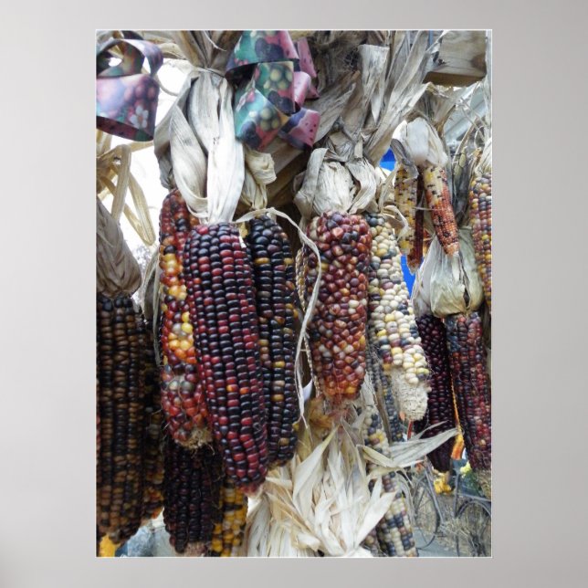 Indiska Maj Poster (Framsidan)