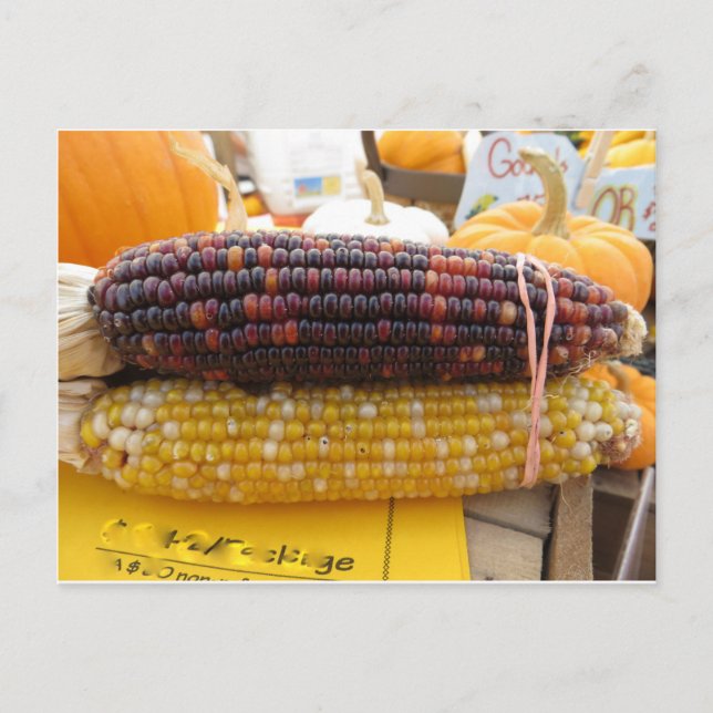 Indiska Maj Vykort (Framsida)