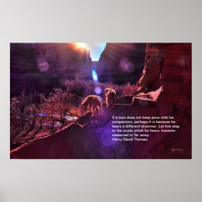 Indiska marionetter Greet den nya dagen i Canyon D Poster (Framsidan)