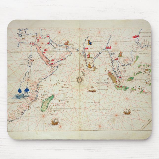 Indiska oceanen musmatta (Framsidan)