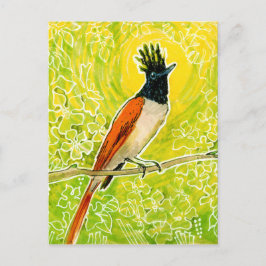 Indiska paradise Flycatcher Tropical Bird Teckning Vykort