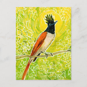 Indiska paradise Flycatcher Tropical Bird Teckning Vykort