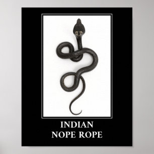 Indiska påven Rope - Cobra Snake Danger Poster