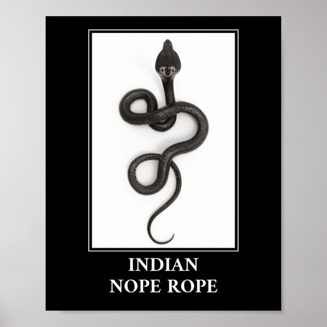 Indiska påven Rope - Cobra Snake Danger Poster (Framsidan)