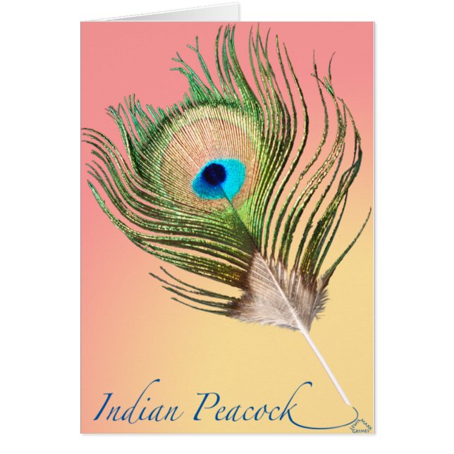 Indiska Peacock Svan Hälsningskort (Framsidan)