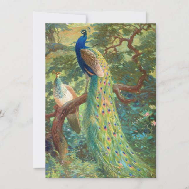 Indiska peafowl | Charles Robert Knight (Framsida)