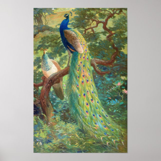 Indiska peafowl | Charles Robert Knight Poster (Framsidan)