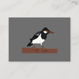 Indiska Pied Myna Bird Art Visitkort
