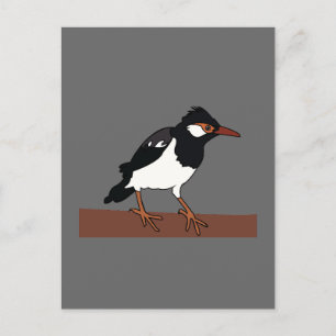 Indiska Pied Myna Bird Art Vykort