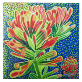 Indiska pintborstplattan, CA Native Plant Kakelplatta