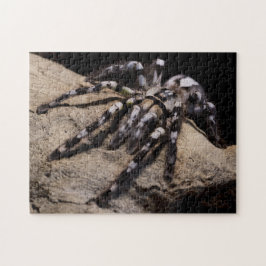 Indiska prydnadsväxter pussel