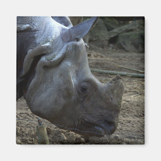 Indiska Rhinoceros Magnet