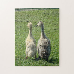 Indiska springerDucklings Pussel